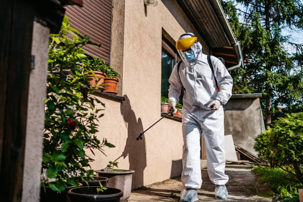 Best Spider Control Near Me  in St Johns, MI