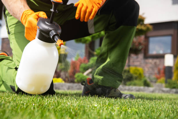 Best Best Pest Control Companies  in St Johns, MI