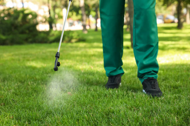 Best Pest Inspection Near Me  in St Johns, MI