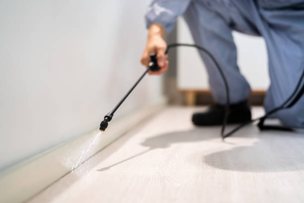Best Pest Removal Services  in St Johns, MI