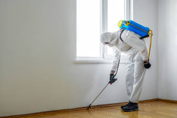 Best Pest Control Treatment  in St Johns, MI