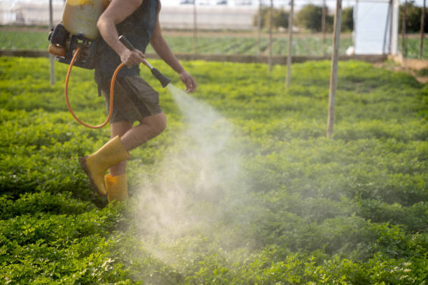 Best Pest Control for Homes  in St Johns, MI