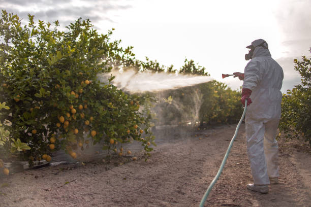  St Johns, MI Pest Control Pros