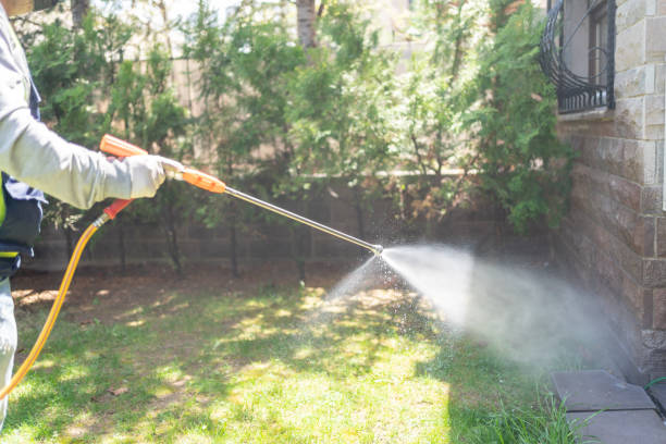 Best Best Pest Control Companies  in St Johns, MI