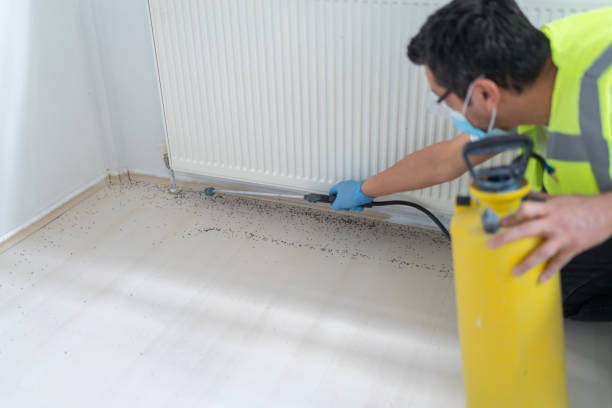 Best Pest Control for Restaurants  in St Johns, MI