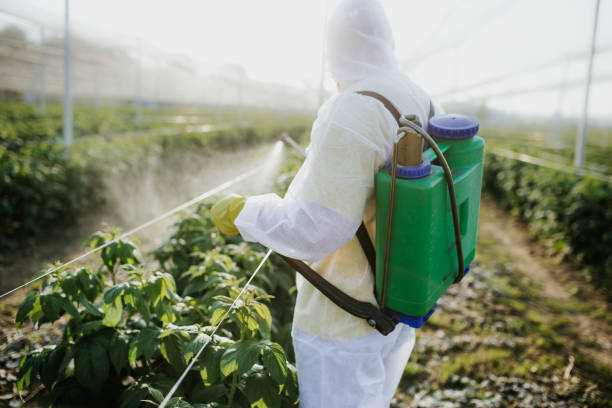 Best Pest Prevention Services  in St Johns, MI
